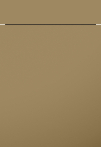 AV 1035 SELECTION caramel