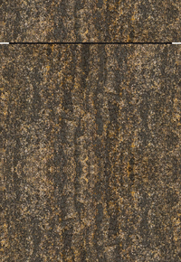 AV 7030 Gold Shine-star