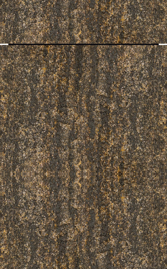 AV 7030 Gold Shine-star