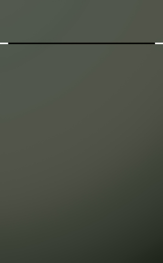 TOP SOFT SELECTION emerald green