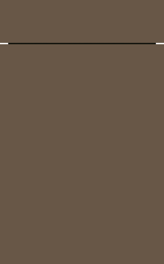 AV 6000 RAL Design 0504020